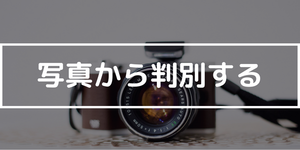 写真から判別する